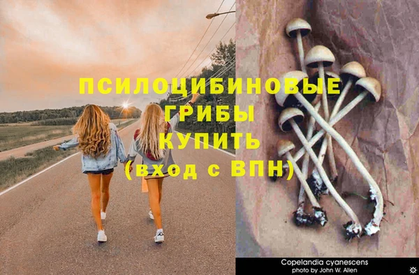 MDMA Premium VHQ Горняк