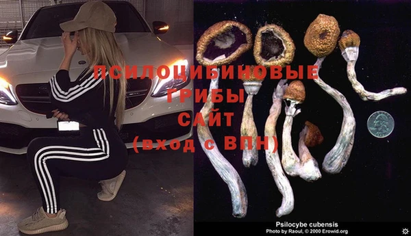 MDMA Premium VHQ Горняк