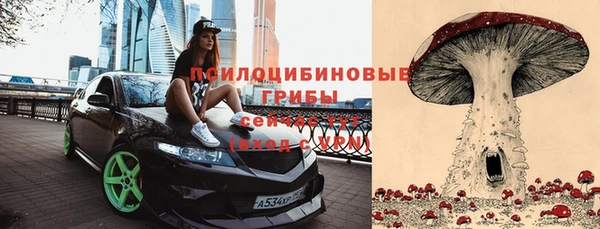 твердый Горно-Алтайск