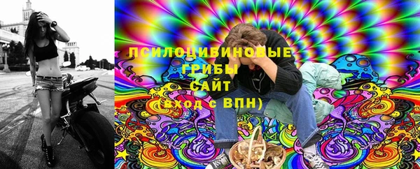 скорость Горнозаводск