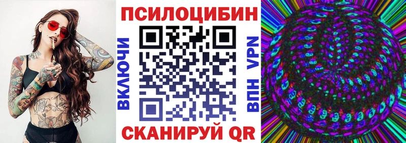 Купить закладки  Аша  Псилоцибиновые грибы Psilocybine cubensis 